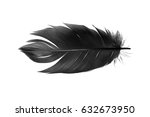 Black Feather On White...