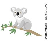 Koala Bear On Wood Branch With...