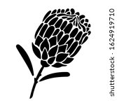 proteus flower silhouette.... | Shutterstock .eps vector #1624919710