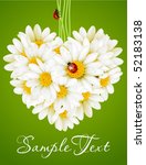 Floral Love Card  Camomile...