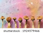 Psilocybin mushrooms on pink bright colorful background. Psychedelic magic mushrooms Golden Teacher. Cosmic consciousness, magic trip. Microdosing concept.