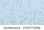 topographic map. geographic... | Shutterstock .eps vector #1919771006