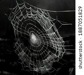 spider web silhouette black and ... | Shutterstock . vector #1887051829