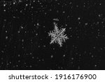 Winter snowflakes magnified. Snowflakes on a dark background.