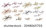 branch in four different... | Shutterstock .eps vector #2048065703