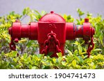 Red Fire Hydrant Hidden At The...