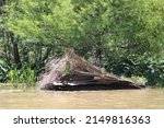 Small photo of Scenes From The Pearl River Swamp in Slidell Louisiana.