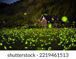 Small photo of nantou taiwan fireflies summer firefly 2022-04-10