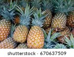Pineapples Pile  Tropical Fruit ...