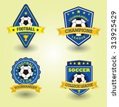 football vintage badges and... | Shutterstock .eps vector #313925429