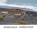 Small photo of Old wrecked hulk of washed-up boat rusty and surrounded by driftwood in Patea Coastal South Taranaki , New Zealand.