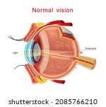 Normal Vision. Eyeball...