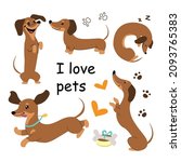 collection of dachshund dogs... | Shutterstock .eps vector #2093765383