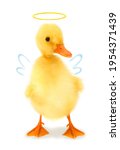 Small photo of Cute cool duckling angel duck with aureole halo and wings, funny conceptual image