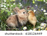 Best friends bunny rabbit and chick are kissing