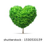 Green leaf tree in heart shape with nature isolated on pure white background. Environment tree for decoration creative concept.