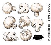 champignon mushroom hand drawn... | Shutterstock .eps vector #1395910703