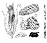 Corn Hand Drawn Vector...