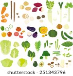 vegetable.cutting | Shutterstock .eps vector #251343796