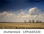 Small photo of Spring field with thundercloud and clouds.