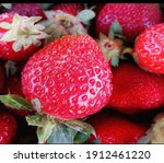 Simply Strawberry Fragaria...