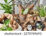 Spring houseplant care growing concept. Unknown woman repots flowers uses fertilizer surrounded by different pots wears protective glove poses near messy table with soil around. Selctive focus on pot