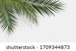 palm branches in the corner ... | Shutterstock .eps vector #1709344873