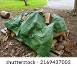 Small photo of A tarp over a wood pile with pieces of the wood holding the tarp in place.
