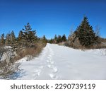 Small photo of An unplowed road with footprints going down it in the snow.