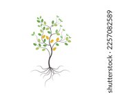 free vector tree with roots and ...