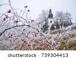 Red rosa canina flowers in winter nature with church in background 