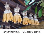 Small photo of Many collections of whole dried corn are hung in a room as decorations that can beautify the interior of the room and place.