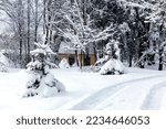 Winter. An abandoned house in a snowy forest. Near the snowy road