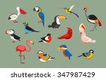 Flat Design Vector Birds Icon...