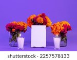 Mockup with picture frames in an offering for the Day of the Dead with Cempasuchil flowers and candles on a purple background. Dia de Muertos. High quality photo