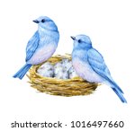 Cute Little Blue Birds With...