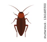 Cockroach Insect Vector Icon...