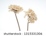 Brown Dried Flowers On A White...