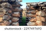 Small photo of Gordon Stockade Historic Site in Custer State Park