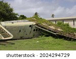 Old Soviet Propeller Airplane Fuselage Wing with Plant Growth