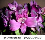 Close Up Bouquet Of Purple...