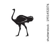 Ostrich Silhouette Vector...