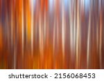 Autumn abstract blurred forest nature. Vivid morning in colorful forest with sun rays through branches of trees. Scenery of nature with sunlight