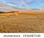 Small photo of The Beauty and Savour of Autumn. Autumn is a beautiful time of year. Game of lights and shadows in Nature. The field after the harvest. What amazing colors!