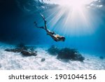 Young Woman Freediver Glides...