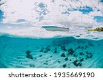 Clear Tropical Ocean Water With ...