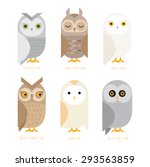 Cute Vector Owl Characters...