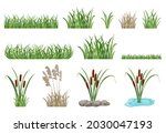 Set Of Illustrations Of Reeds ...