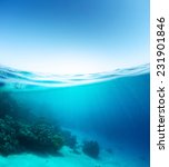 Small photo of Split shot of the coral reef underwater and sea surface with waves