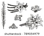 ink hand drawn style set of... | Shutterstock . vector #789054979